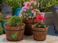 pu-u-pods-antique-11x11-cm-1