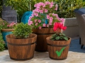 flower-pots-antique-8x11-cm-1