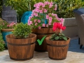 pu-u-pods-antique-13x14-cm-1