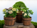pu-u-pods-antique-13x14-cm-2