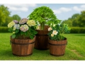 pu-u-pods-antique-13x14-cm-10
