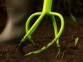 cultivator-and-tiller-gardlov-12