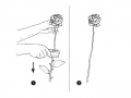 rose-thorn-remover-1