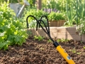 Soil cultivator 170 cm