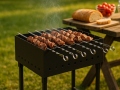 barbecue-tourist-7