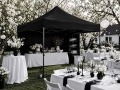 4x4 m AL-HEX50 BLACK