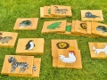 lauko-aidimas-giant-memorize-6