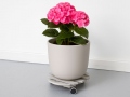 plant-trolleys-greyroundl-7