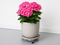 plant-trolleys-greyroundl-2