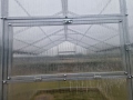 3x10-m-victoria-line-6mm-15