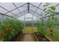 3x10-m-victoria-line-6mm-3