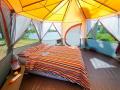 Coleman Cortes Octagon 8
