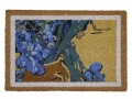 Kājslauķis Irises
