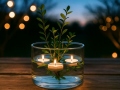 anzuchtsystem-ikebana-s-1