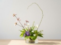 Blomkruka Ikebana S