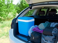 Cool Box Icetime 26 L Plus