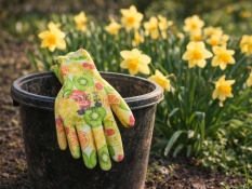 Garden Gloves 7 (S/M)