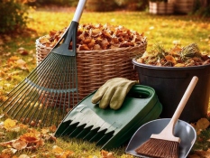 Garden & yard cleaning