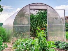 siltumn-cas-un-lecektis