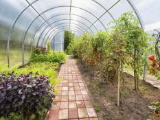 Polycarbonate greenhouses