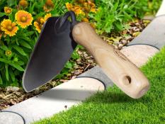 kaplis-l-psti-a-dewit