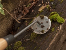 rokas-disku-rav-t-js