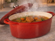 Enameled cast iron