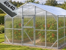 Greenhouses 4 m VICTORIA DELUX