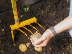 Potato digger