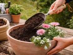 Compost scoop Esschert