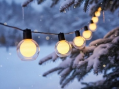 HOLIDAY GARLANDS & LIGHTING