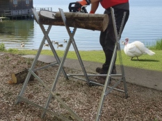 Log Sawhorse