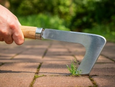 Patio knife ash handle