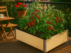Raised bed 80x60x19cm