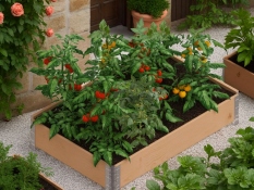Raised bed 120x80x19cm