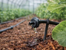 Pilienlaistīšanas sistēmas