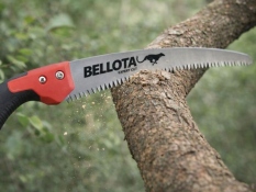 Pruning Saw Cheetah