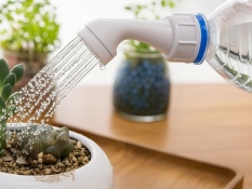 Bottle Cap Sprinkler