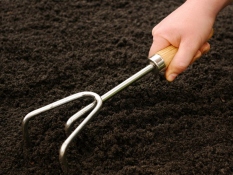 Hand cultivator GreenCraft