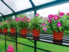 Greenhouse Shelf 183x30 cm
