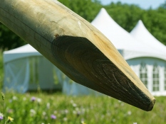 Reinforcing Party Tets