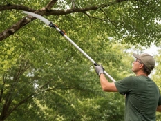 Branch saw 2.4 m