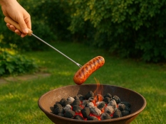 Telescopic BBQ Fork