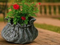 PLANT POTS & STANDS