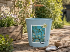 Spainis Almond Blossom
