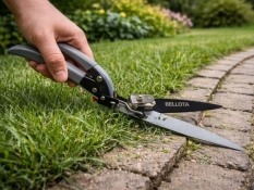 Grass shear Smart