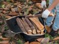 Firewood for warmth and scent at home
