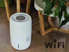 Gaisa mitrinātājs Oasis 303 Wifi