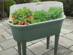 Planter Box 4 Living