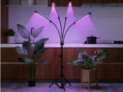 Fitolempa 4x20 LED